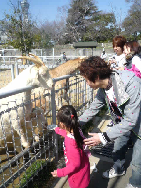 ありがとうの遠足写真