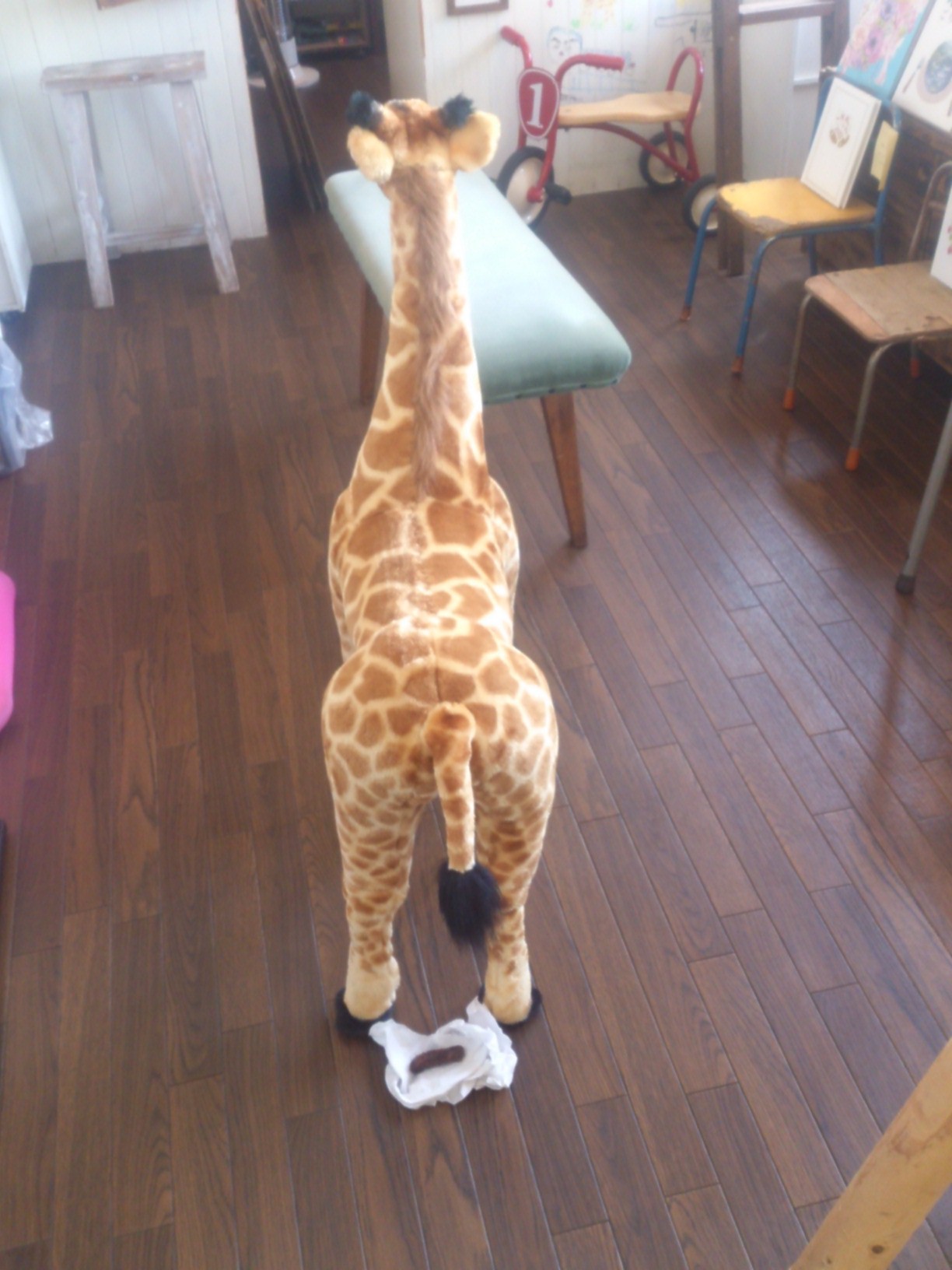 コタローうんち