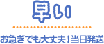 早い　急ぎでも大丈夫！当日発送